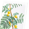Acacia Flower Card