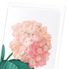 Hortensia Flower Card