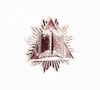 Chaplain Silver Plated Pin