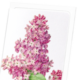Lilac Flower Card
