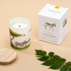 Trouvaille Global | Save The Planet Scented Soy Candle | Uplifting Grassland w packaging lifestyle