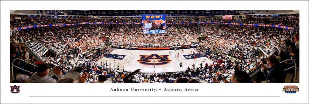 Auburn Tigers Baseball - Plainsman Park Panoramic Art Print