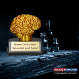 Golden Brain Trophy | Trivia and STEM Knowledge Award with Free Custom Engraving - 3.75 Inch Tall Decade Awards