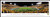 West Virginia University Panoramic Print #4 (End Zone - Stripe) Decade Awards