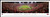 San Francisco 49ers Panoramic Print #3 (Final @ Candlestick) Decade Awards