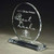 Circle Acrylic Award | Engraved Acrylic Trophy - 4", 5" or 6" Decade Awards