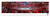 University of Arizona Panoramic Print #6 (Basketball) Decade Awards