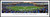 South Dakota State Panoramic Print #1 (50 Yard) Decade Awards