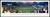 West Virginia University Panoramic Print #6 (50 Yard) Decade Awards