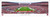 Alabama Crimson Tide Panoramic Picture - End Zone at Bryant-Denny Stadium Decade Awards