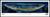 Daytona International Speedway Night Race - Panoramic Picture  (standard frame)