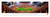 Clemson University Panoramic Print #5 (50 Yard) Decade Awards