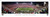 University of Georgia Bulldogs Panoramic Print #6 (50 Yard) Decade Awards