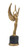 Achievement Trophy | Engraved Female Victory Award - 12" Decade Awards
