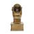 Gold Toilet Bowl Action Pedestal Turd Place Trophy - 7 Inch Tall | Engraved Worst Place Award