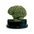 Zombie Brain Trophy with free custom engraving spooky Halloween award by Decade Awards