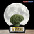 Zombie Brain Trophy with free custom engraving spooky Halloween award by Decade Awards