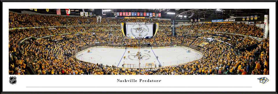 Nashville Predators Bridgestone Arena Hockey 8x10 to 48x36 Photo 02