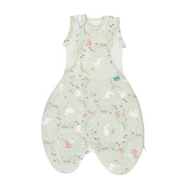 Swaddle to Sleep Bag - All Seasons 2.5 - Storybook Sage