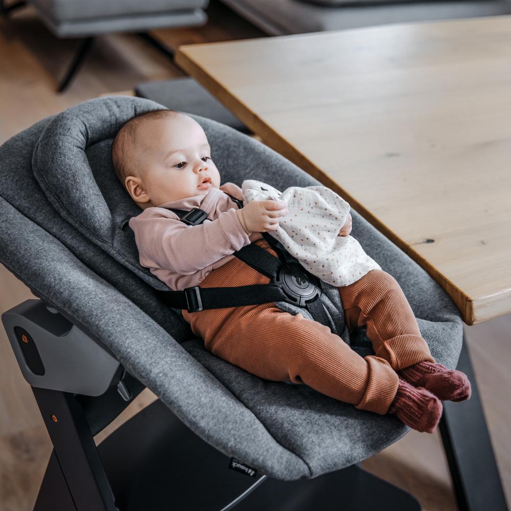 Hauck Highchair 2-in-1 Alpha Bouncer Premium - Dark Grey