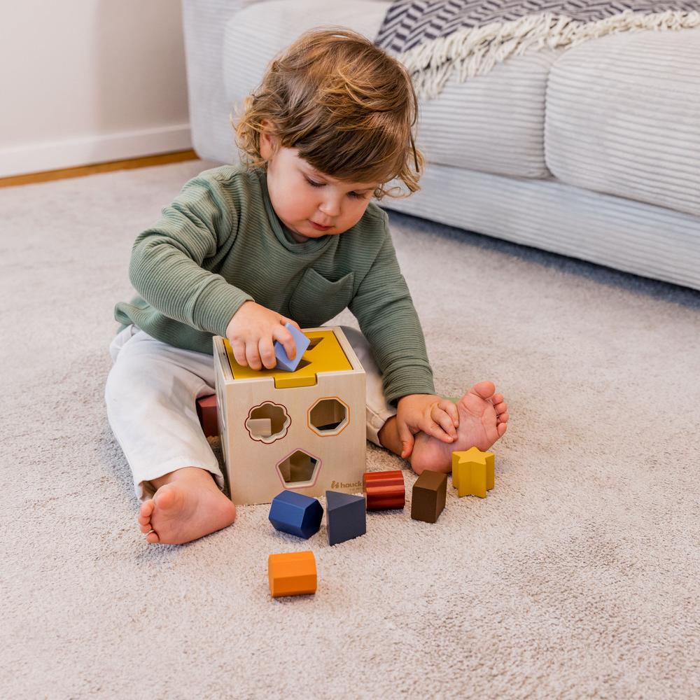 Hauck Toy Sort N Tidy