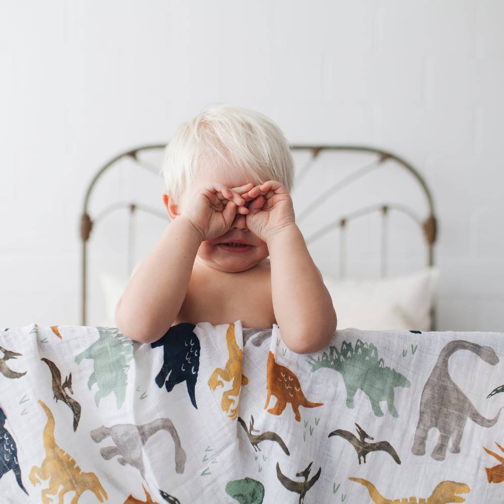 Little Unicorn Single Cotton Muslin Swaddle - Dino Friends