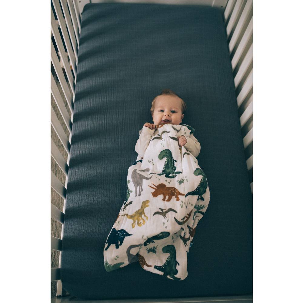 Cotton Muslin Sleeping Bag - Dino Friends