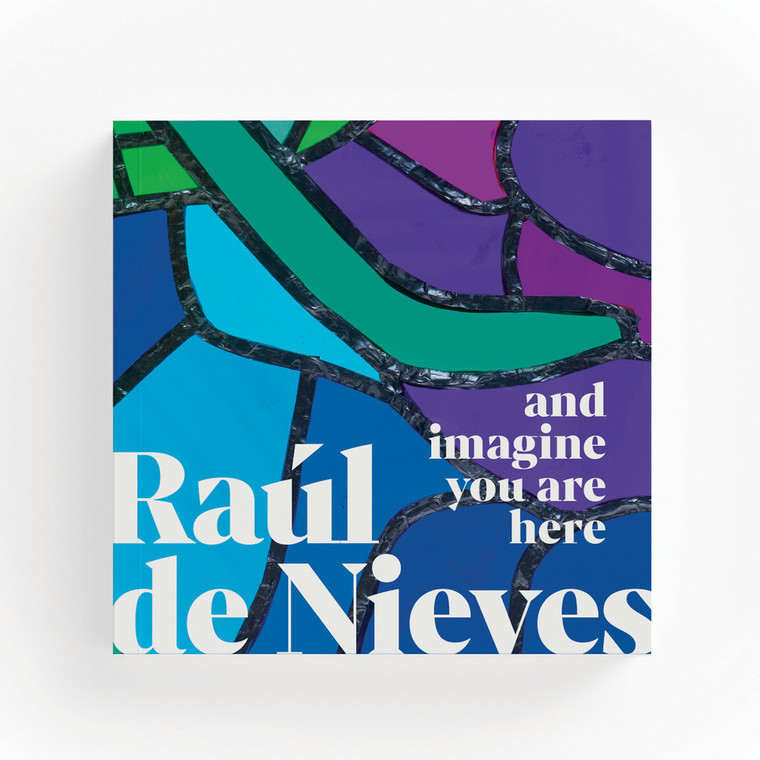 Raúl de Nieves: and Imagine You Are Here