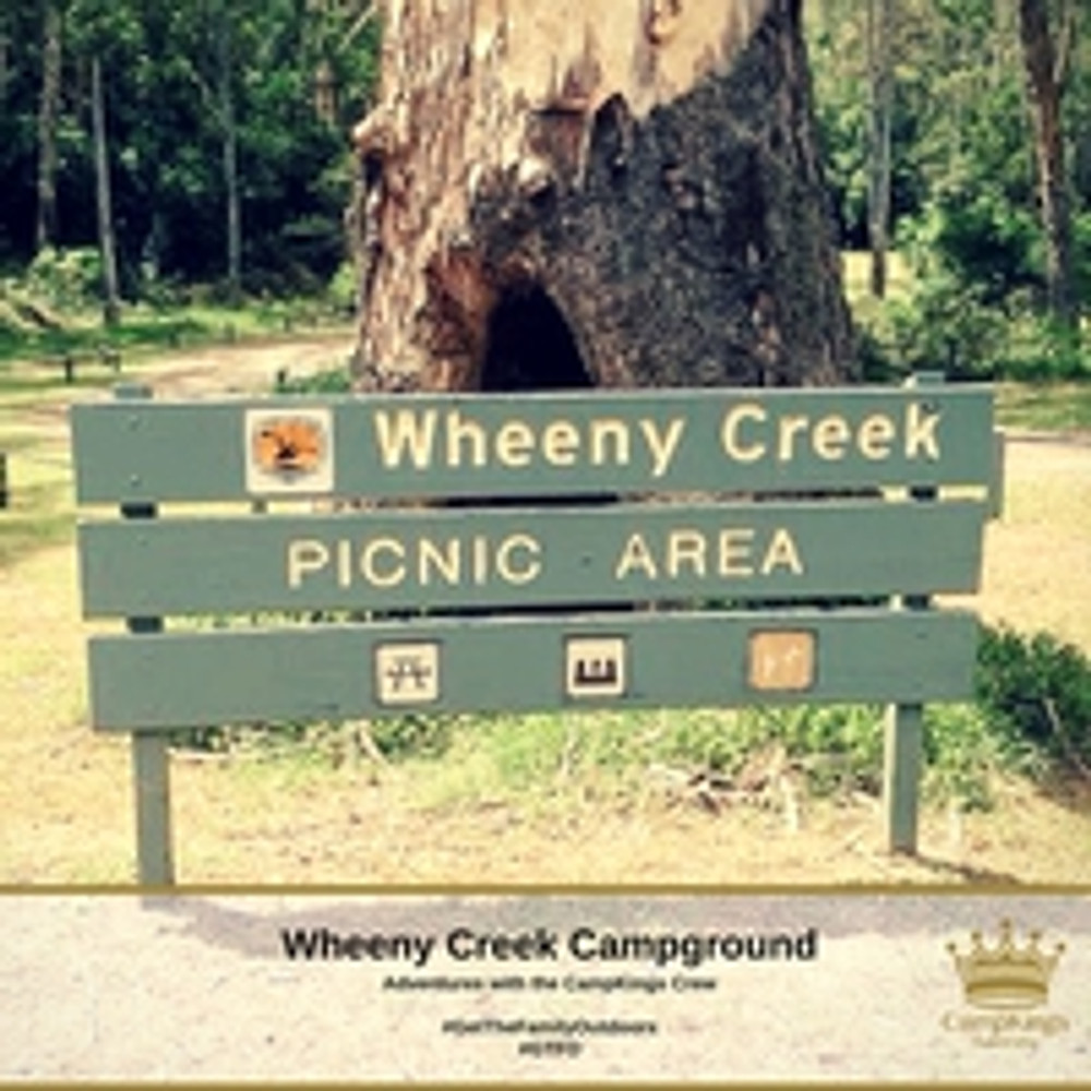 Wheeny Creek | CampKings Crew Review