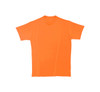 T-Shirt für Erwachsene aus 100% Baumwolle – AP4729
