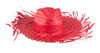 Sombrero Strohhut – Perfekter Sonnenschutz für Events