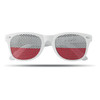 Flag Fun Fan Sonnenbrille MO9275 – Länderflaggen feiern (MO9275)