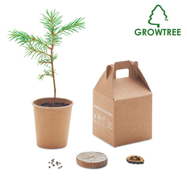 GROWTREE™ Kiefernsamen-Set: Nachhaltiges Geschenk