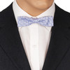 Skinny Purple Bow Tie