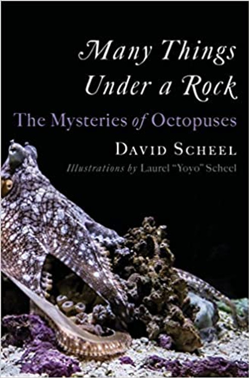 Many Things Under a Rock: The Mysteries of Octopuses Hardcover – June 13, 2023
by David Scheel (Author), Laurel "Yoyo" Scheel (Illustrator)