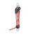 Product thumbnail view 1