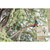 Product thumbnail view 5