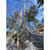 Product thumbnail view 4