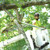 Product thumbnail view 11
