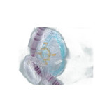 Ambu - 101077 - Anesthesia Expandable Connector - Case/50