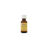 Wyndmere Naturals - 1501 - Cedarwood Anointing Oil - Each