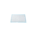 Mckesson - Classic - Uplt1724 - Disposable Underpad 17 X 24 Inch Fluff / Polymer Light Absorbency - Case/300