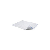 Cardinal Health - Uppm2436A - Med , Premium Underpads, Wings, 24" X 36" - Case/60