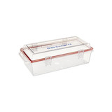 Bd Becton Dickinson - Gaspak - 260671 - Incubation Container Tm Ez - Each