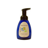 Wyndmere Naturals - 979 - Unscented Foam Soap - Each