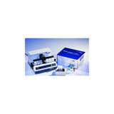 Bd Becton Dickinson - 446250 - Affirm Vpiii Microbial Identification Candida Species, Gardnerella Vaginalis - Trichomonas Vaginal Swab Sample Test Kit 24 Tests - 1 Ea - Each