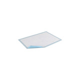 Essity - Tena - 61320 - Large Underpad 30" X - Package/15