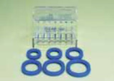 Bioteque America - Fs4000 - Pessary Set Oval Fitting Sz2 7 - ST/1