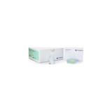 Coloplast - Kimvent - 22025 - Conveen Optima Male Self - Adhering External Catheter 25 - Mm Diameter Standard Length Small, One Piece, Comfortable Wear Silicone, Latex - Free
