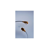 Medline - Conchatherm - Hud39599 - Humidifier Temperature Probe